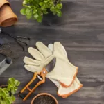 gardening tools