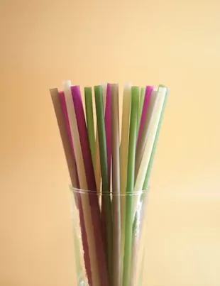 Biodegradable Straws