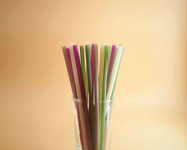 Biodegradable Straws