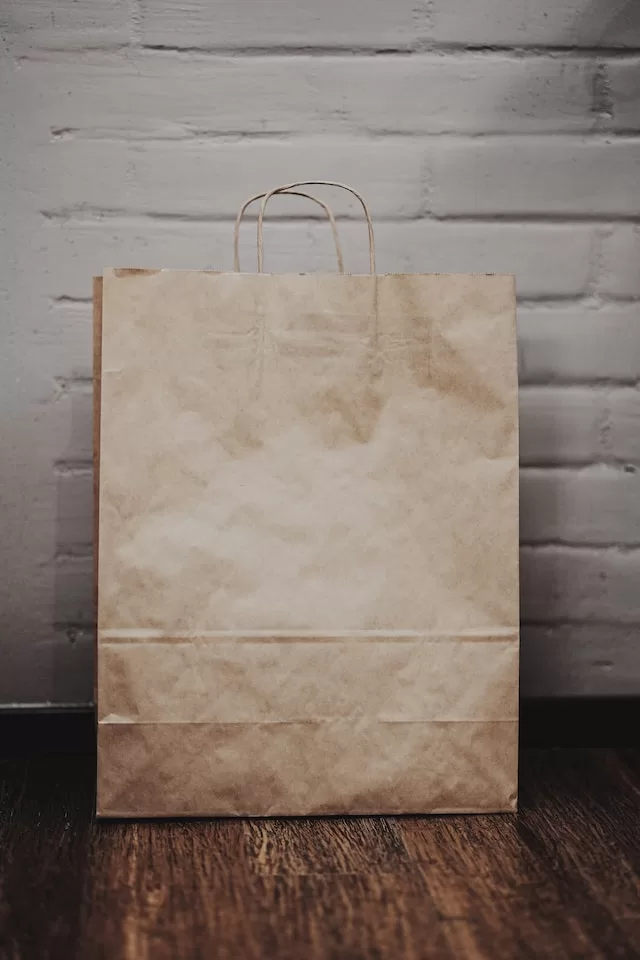 big brown paper bag