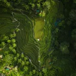 Sustainable solutions of hills surrounded by greens and trees