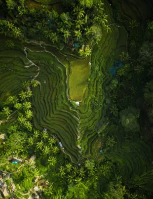 Sustainable solutions of hills surrounded by greens and trees