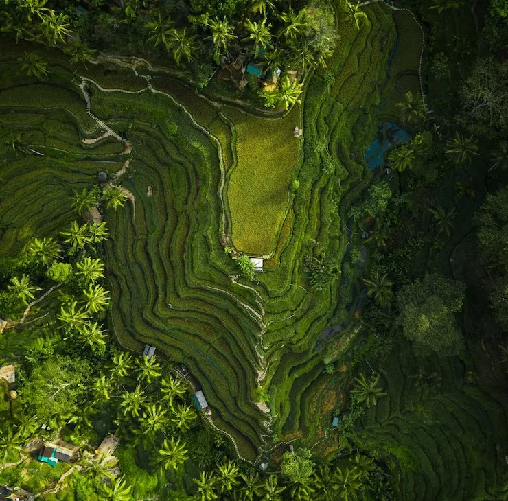 Sustainable solutions of hills surrounded by greens and trees