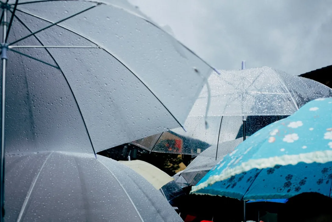 people holding umbrellas while walking the street