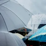 people holding umbrellas while walking the street