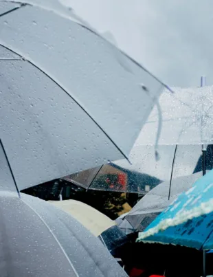 people holding umbrellas while walking the street