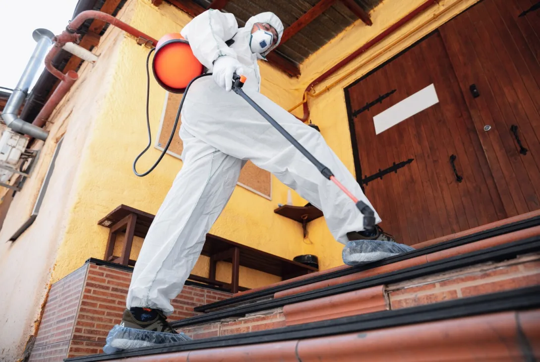 man in a protective suit and mask sprays Termiticide for termite control in the house