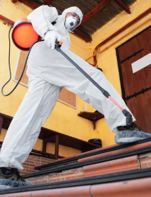 man in a protective suit and mask sprays Termiticide for termite control in the house