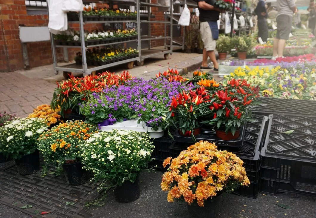 garden center and nursery for showcasing their selection of flowers