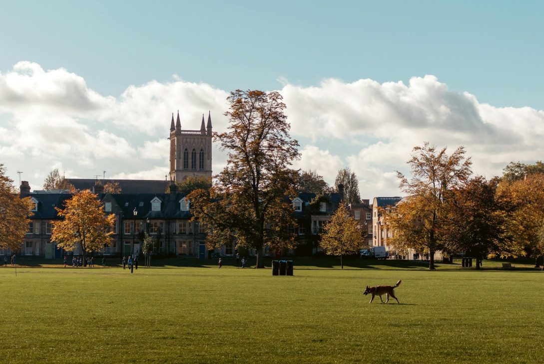 Cambridge University at U during autumn