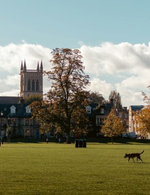 Cambridge University at U during autumn
