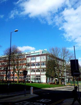 white and brown school building at a town