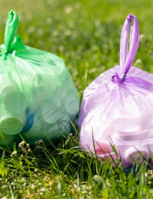 Garbage bags on a field grass