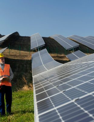 A person monitoring an industrial solar panel installation